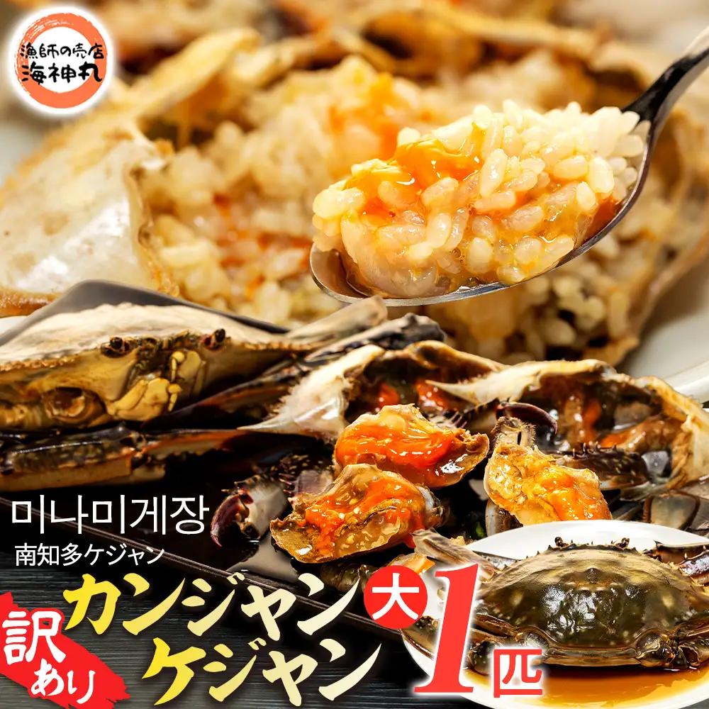 訳あり 南知多カンジャンケジャン カンジャンケジャン 大蟹1匹 ワタリガニの醤油漬け 魚介 魚介類 ワタリガニ カンジャンケジャン 蟹 新鮮 グルメ カニ