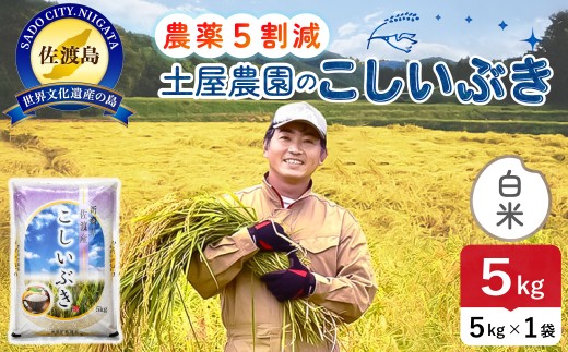 佐渡島産こしいぶき 白米5kg 令和7年 ～農薬5割減～ 農家直送