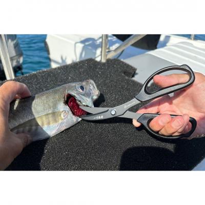 ふるさと納税 三条市 [ベルモント]一刀両断ハサミ-ikejime 魚 締め 捌き フッ素加工 【010S761】 |  | 03