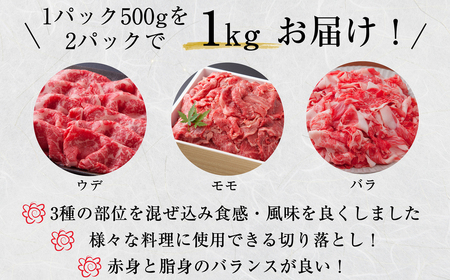 Ｍ545 福岡県産 ブランド牛 博多和牛 100％ 切り落とし (モモ・バラ・ウデ混合) 500g×2パック 計1000g