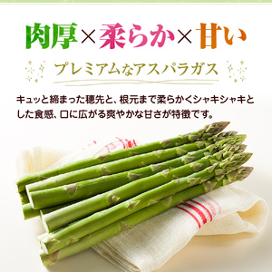 2027年初物予約！アスパラガス【さぬきのめざめ】3L・2Lサイズ1kg