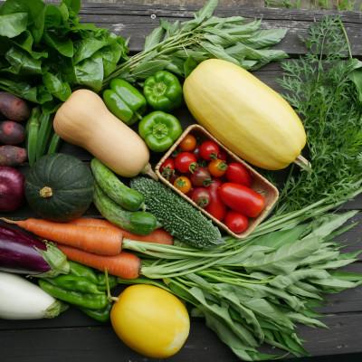 ふるさと納税 養父市 【発送月固定定期便】【6〜12月】但馬の旬をお届け!採れたて野菜セット全7回 |  | 01