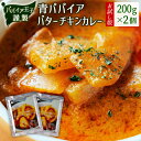 【ふるさと納税】［お試し］青パパイアバターチキンカレー（200g×2個）ポスト投函