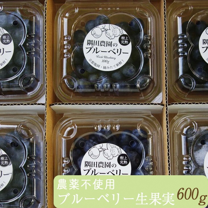 【先行予約】＜すだ農園＞栽培期間中農薬不使用 朝摘み ブルーベリー 生果実 600g◇ ｜ 果実 新鮮フルーツ ※北海道・沖縄・離島への発送不可 ※2025年7月下旬～8月中旬頃に順次発送予定
