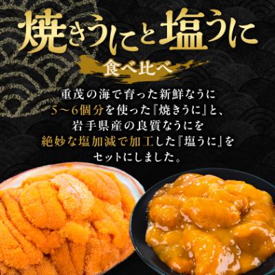 ふるさと納税 宮古市 無添加焼うに2個・塩うに2本セット |  | 01