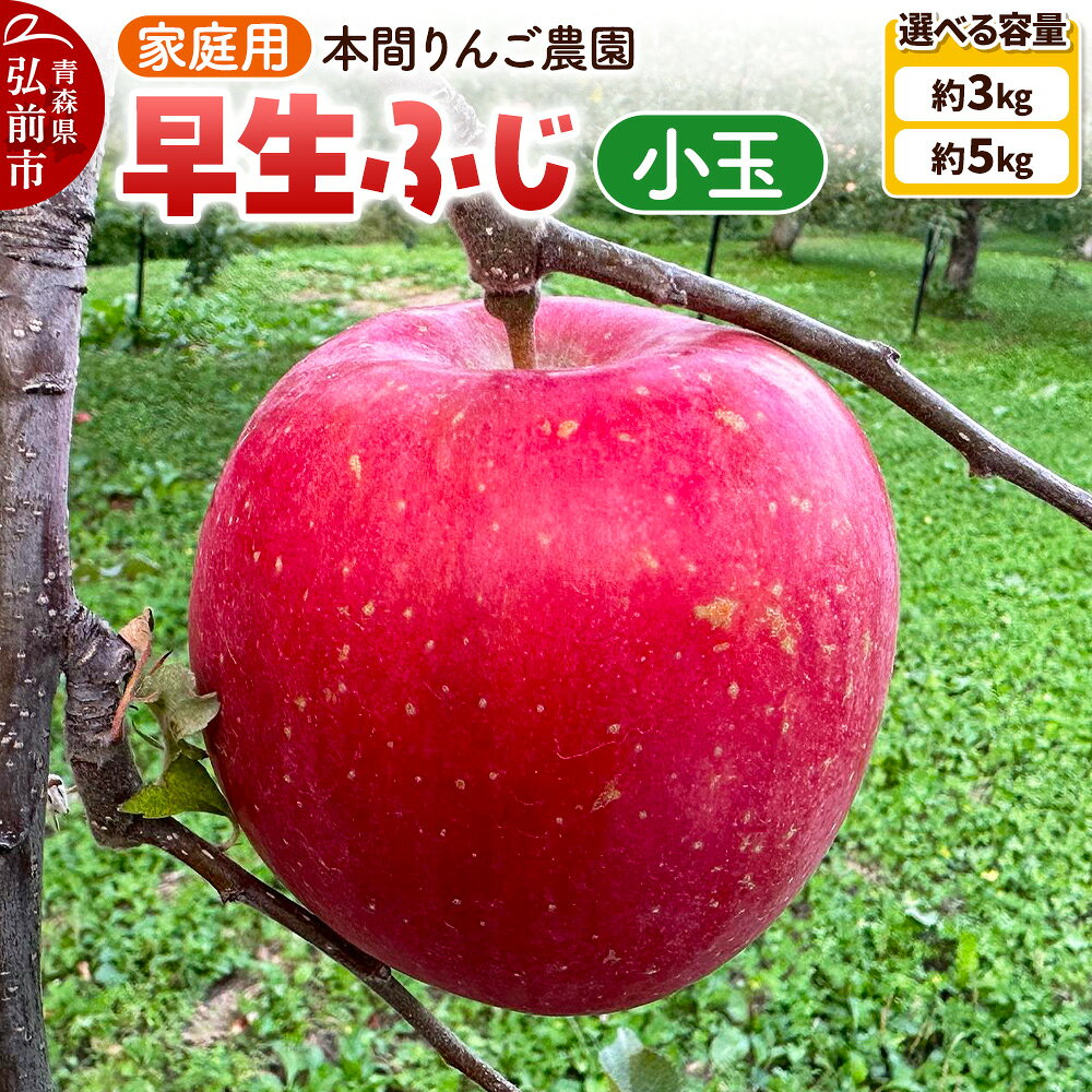 【ふるさと納税】りんご【26年10月発送】早生ふじ(ひろさきふじ) 小玉 家庭用【選べる約 3kg／5kg】先行受付 青森県 弘前市 果物 フルーツ 林檎 リンゴ くだもの 不揃い 規格外 [先行予約 産地直送 アップル おいしい 果実 美味 甘い]
