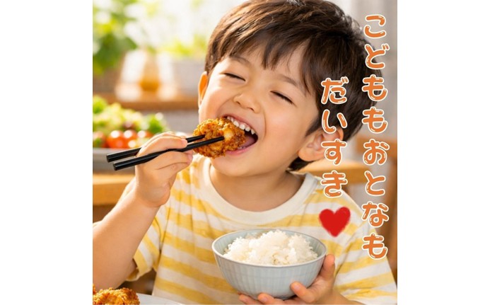 ありたどりのムネ肉から揚げ300g×6袋 188-L087