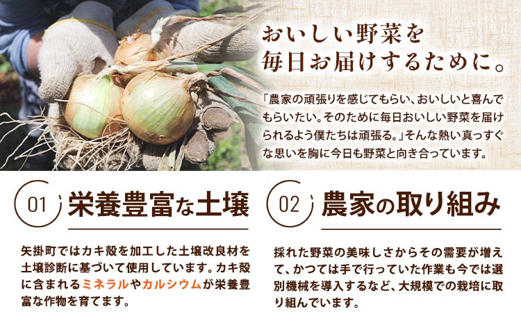 矢掛町産 訳あり 玉ねぎ 約10kg たまねぎ 大きさ不揃い 訳ありたまねぎ《5月末～7月中旬頃に出荷予定》 約 10kg 野菜 岡山県 矢掛町---ofn_ytn_e57_25_9000_10---