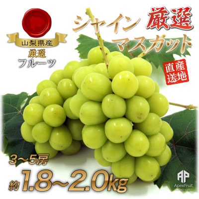 【2026年発送】厳選!シャインマスカット約1.8～2.0kg　3～5房入り【配送不可地域：離島】