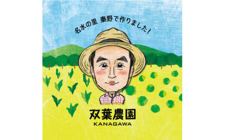 010-61_【6月発　大好評】箱いっぱいつめます(^_^)v　 ヤングコーン（約50本）『from 名水の里 秦野』