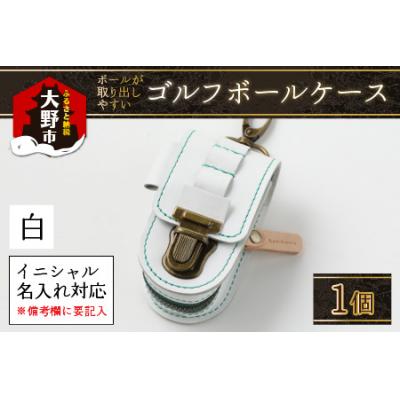 ふるさと納税 大野市 【5色から選べる】ボールが取出しやすい ゴルフボールケース 白