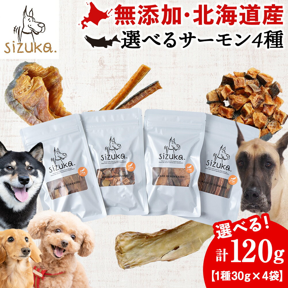 【ふるさと納税】選べるサーモン4種 計120g（1種30g×4袋）鮭 サーモン ドッグフード ペット おやつ ジャーキー スライス スティック ひとくち 無添加 北海道ふるさと納税 ふるさと納税 北海道 千歳市【北海道千歳市】ギフト ふるさと納税