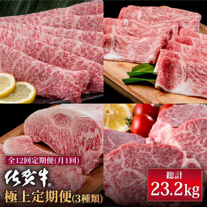 【ふるさと納税】【肉のプロが厳選！】【12回定期便】佐賀牛 極上 定期便【株式会社いろは精肉店】和牛 ブランド牛 お肉 肉 牛肉 冷凍 ロース ヒレ フィレ ステーキ すきやき すき焼き しゃぶしゃぶ 切落し 切り落とし [IAG079]