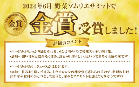 【先行予約】 熊本県八代市産 スイートコーン ゴールドラッシュ 4kg とうもろこし 朝採り 高糖度 【2025年5月上旬より順次発送】