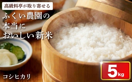 【令和7年産米】ふくい農園のおいしいお米 コシヒカリ 5kg 順次発送