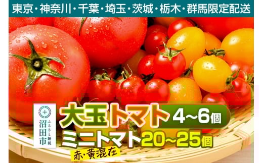 《関東発送限定》沼田市産 大玉トマト「れおん」4～6個・ミニトマト20～25個 詰め合わせ