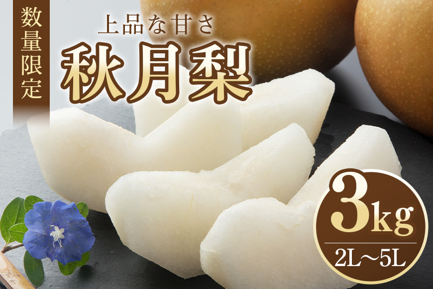 【数量限定・先行予約】 梨 秋月 3kg 2L～5L 6～9玉 なし ナシ あきづき アキヅキ 果物 フルーツ 国産 【9月15日以降末発送予定】 70-C