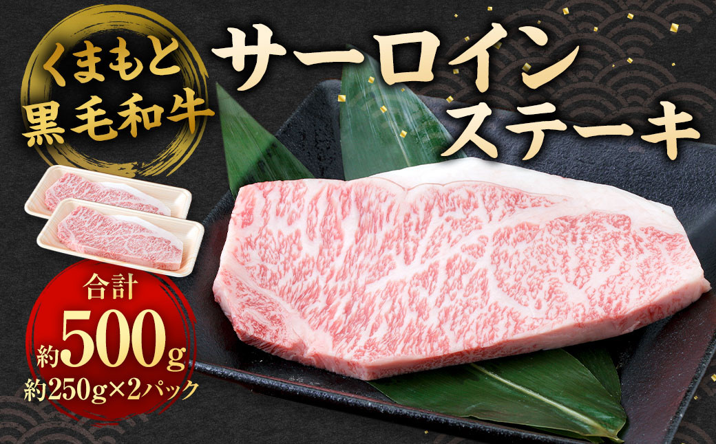 
            くまもと黒毛和牛 サーロインステーキ 500g （250g×2パック） 牛肉 お肉
          