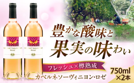 ワイン 奥出雲葡萄園 カベルネソーヴィニヨン・ロゼ  2本セット  国産 ワイン セット ロゼワイン カベルネソーヴィニヨン ロゼ 2本 2本セット 詰め合わせ 飲み比べ セット お酒 酒 アルコール 日本ワイン 国産ワイン 地ワイン 750ml 辛口 フルーティー お取り寄せ 贈り物 プレゼント お祝い 誕生日 記念日 パーティー 人気 島根県雲南市/有限会社奥出雲葡萄園 [AICS023]