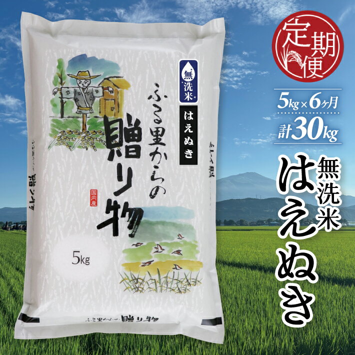 【ふるさと納税】≪新米予約≫ ≪6ヶ月定期便≫ 無洗米 はえぬき 5kg×6ヶ月連続 計30kg 山形県産 ご希望期間の毎月下旬頃お届け 産地直送 米 お米 精米 白米 庄内米 ブランド米 東北 酒田市