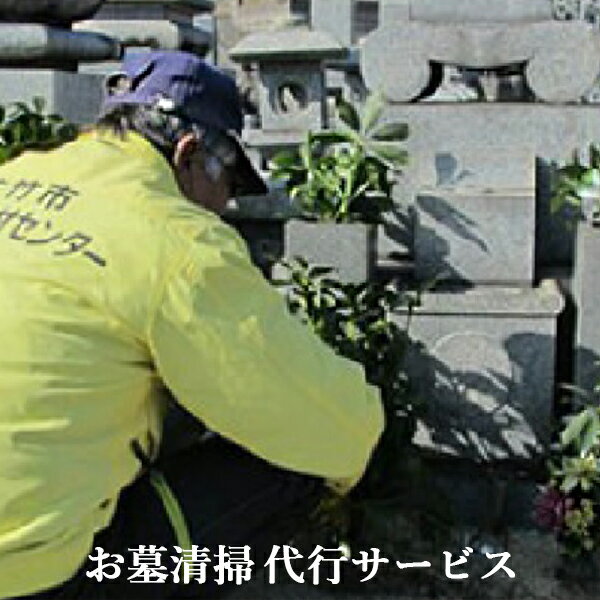 【ふるさと納税】お墓清掃代行サービス 故郷はまかせて！お墓を代わりにお手入れ｜清掃作業 墓掃除 墓守り お墓見守り 1基 墓石 ご先祖 供養 遠方 帰省 故郷 広島 [1435]