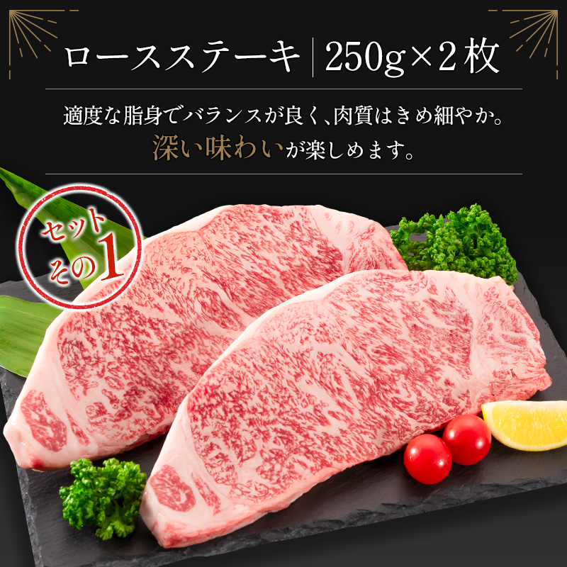 ＜肉質等級4等級＞宮崎牛 ロース 食べ比べ セット（合計1kg） 国産 肉 牛肉 ご飯 おかず お祝い ごちそう【E161-2502】_イメージ2
