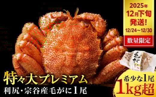  【2025年12月24日～12月30日発送】 毛ガニ 特々（1kg以上） 1尾 ＜利尻漁業協同組合＞