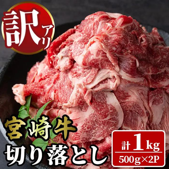 ＜訳あり＞宮崎牛 切り落とし(計1kg・500g×2P) 牛肉 肉 ブランド牛  冷凍 国産 精肉 お取り寄せ 黒毛和牛 宮崎県 【LJ005】【ローカルブランディング株式会社】