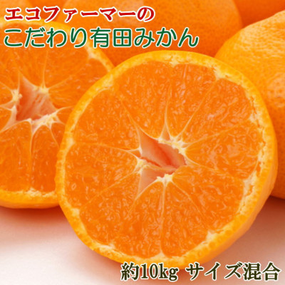 エコファーマーのこだわり有田みかん約10kg(サイズ混合)2025年11月中旬より順次発送(日高町)【1492454】