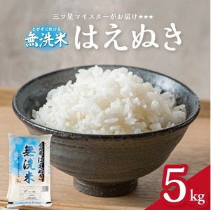 SA2850　令和7年産【無洗米】庄内産 はえぬき　5kg(5kg×1袋) SA
