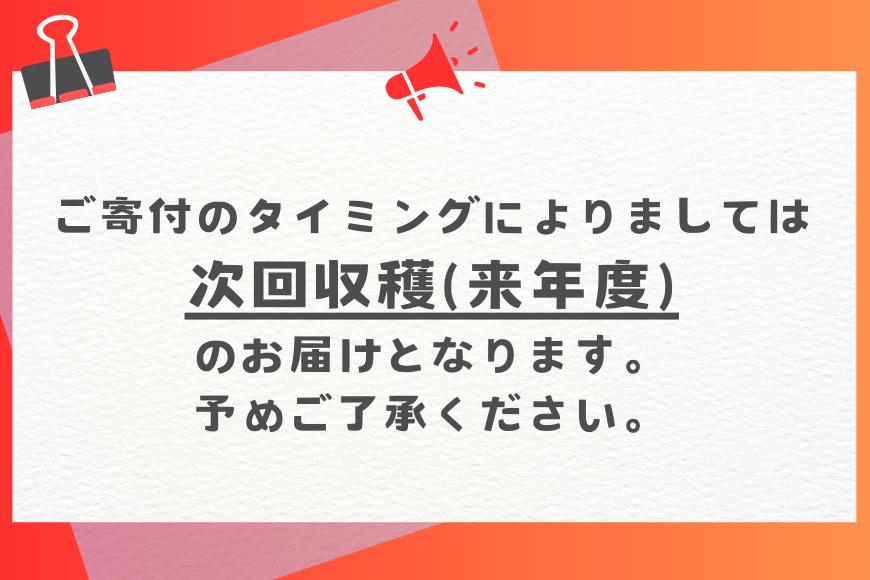 【定期便全4回】沖縄フルーツ定期便 4回 パッションフルーツ マンゴー ドラゴンフルーツ 沖縄バナナ