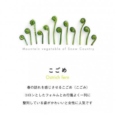 ふるさと納税 十日町市 着る山菜!【こごめサコッシュ】 |  | 01