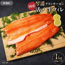 【ふるさと納税】＼国産 サーモン／ 琴浦 グランサーモン 約1kg ( 500g × 2p ) | 陸上養殖 フィレ 養殖サーモン 生サーモン 魚 海鮮 魚介 ふるさと納税 鮭 サケ 鮮度抜群 人気 おすすめ 鳥取 グルメ 真空パック 冷蔵 ふるさと サーモン