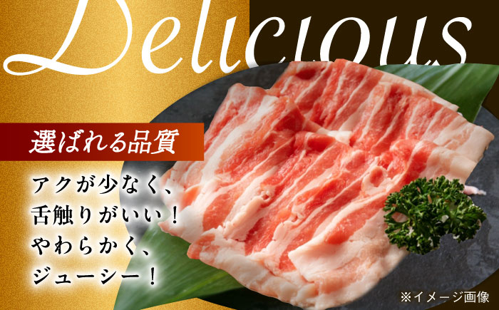 肉 豚 ぶた ブタ 豚バラ 焼肉 焼き肉 しゃぶしゃぶ 小分け 満腹 西海市 長崎 九州 定期便