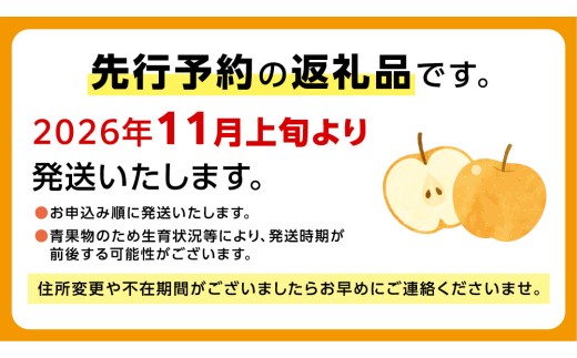 【2026年11月中旬から発送開始】王秋梨 約3kg 4玉～6玉 (茨城県共通返礼品:城里町) フルーツ 甘い お正月 クリスマス 大玉 直送 茨城 限定 [CO009sa]