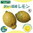 【ふるさと納税】【先行受付】【訳あり】希少 な 国産 オーガニック レモン 2.0kg / 4.0kg【 栽培期間中 農薬 不使用 】内容量が選べる 2kg 4kg 皮まで 食べられる 檸檬 フルーツ 果物 柑橘 訳アリ 産地直送 常温配送 送料無料 国産 広島県 呉市