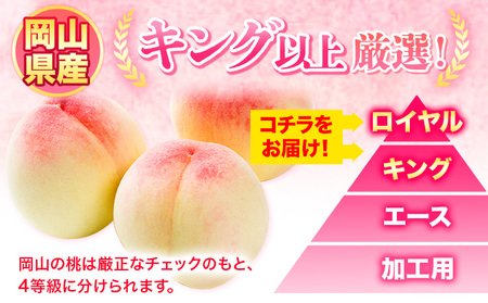 岡山の桃 秀品 約1.5kg (5~9玉前後) 《6月下旬-9月上旬頃出荷》 ｜ 桃桃桃桃桃