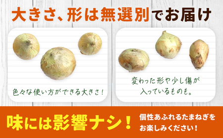 矢掛町産 訳あり 玉ねぎ 約10kg 玉ねぎ