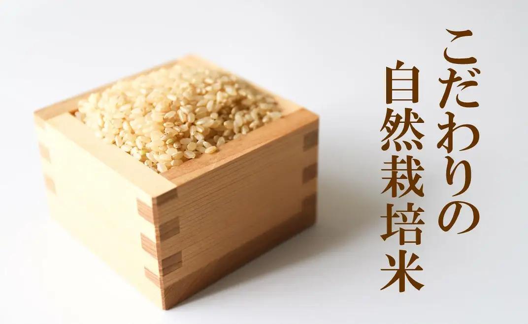 令和8年産 羽咋米 こしひかり 玄米3㎏ 羽咋米