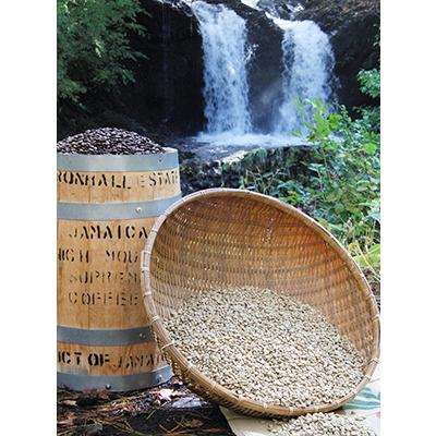 ふるさと納税 富士吉田市 コーヒー 豆200g×2種 飲み比べ珈琲セット計400gふじやま&あかふじ(深煎り) 富士山の湧き水 |  | 01