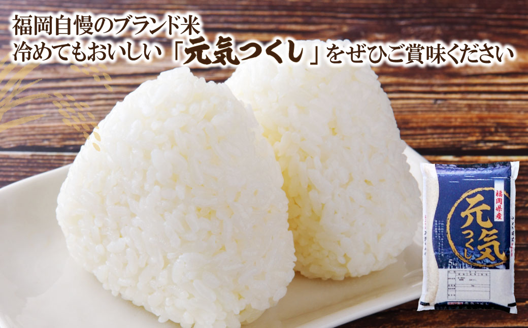 研ぐお米 元気つくし2kg