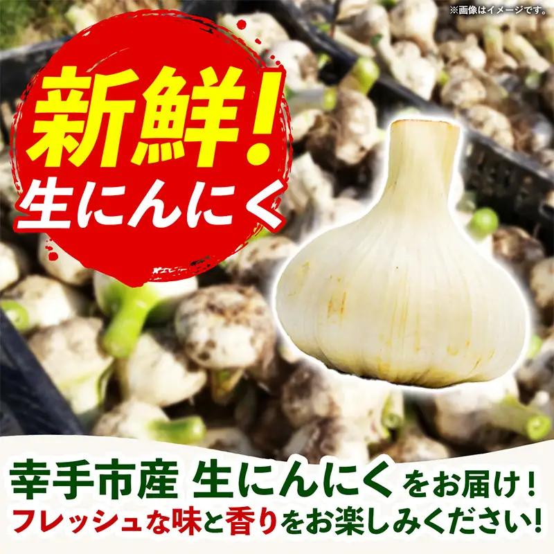 にんにく 1kg - 2026年度 幸手市産 採れたて ニンニク ガーリック きあり農園