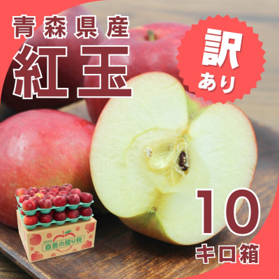 【10月下旬より発送開始】産地直送 青森県産 訳あり紅玉 10キロ箱 26～56玉 青森県産りんご【配送不可地域：離島】【1290126】