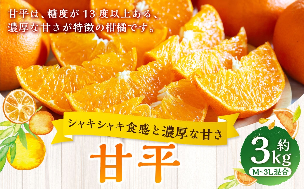 
                  【 シャキシャキ食感と濃厚な甘さ 】 甘平 約3kg みかん ミカン くだもの 果物 フルーツ 柑橘 柑橘系 柑橘類 果実 果汁 果肉 国産 愛媛県産 旬 【 2027年1月下旬～3月上旬発送予定 】 ( 1078 )
                