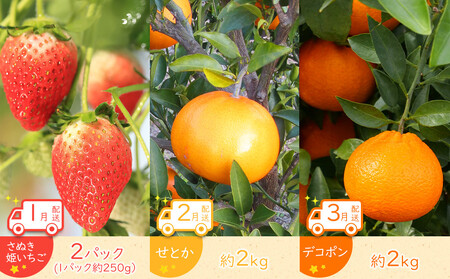 旬のオススメ単品定期便【全12回】 |フルーツ 旬 美味しい 新鮮 フルーツ 詰合せ セット フルーツ 人気 フルーツ 厳選 おすすめ フルーツ