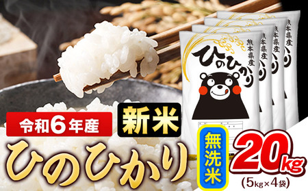 令和6年産新米 早期先行予約受付中 無洗米 ひのひかり 20kg《11月-12月より出荷予定》令和6年産 熊本県産  無洗米 精米 ひの 米 こめ コメ 米 白米 もあります！ 白米 令和6年産 高レビュー 熊本県産 無洗米 白米 精米 ひの 米 こめ ふるさとのうぜい ヒノヒカリ コメ お米 おこめ