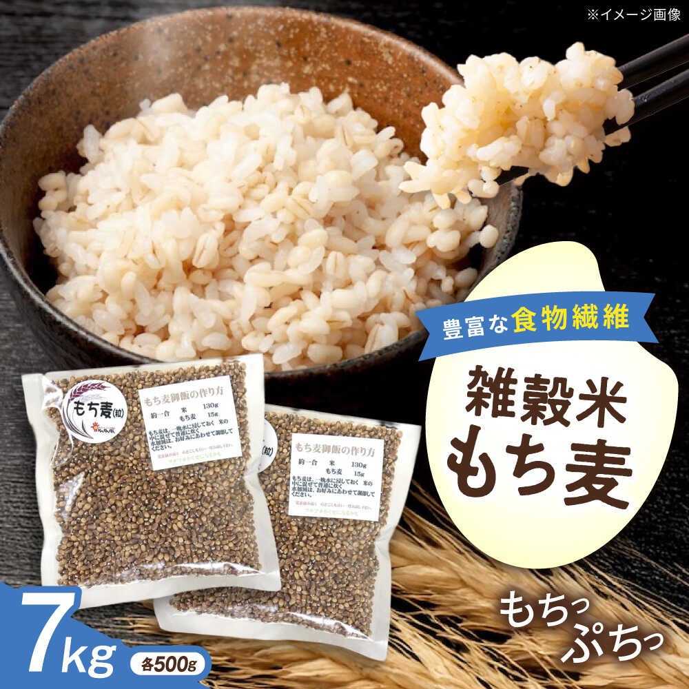 【ふるさと納税】内子町産もち麦7kg ／ 国産 雑穀米 もち麦 ごはん おすすめ 送料無料 米 【株式会社内子フレッシュパークからり】[BKAD014]
