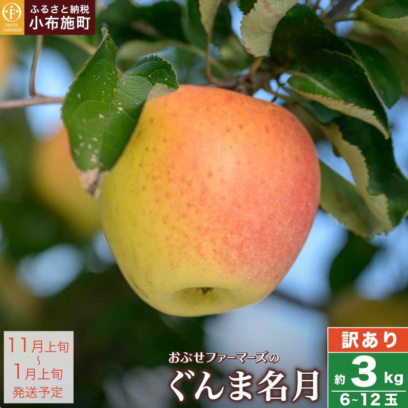 【ふるさと納税】【訳あり】ぐんま名月 約3kg 6~12玉 ［ おぶせファーマーズ ］ 果物類 林檎 りんご リンゴ 規格外 不揃い 数量限定 フルーツ 長野県産 信州産 6000円 令和7年産 【2025年11月上旬～1月上旬発送】