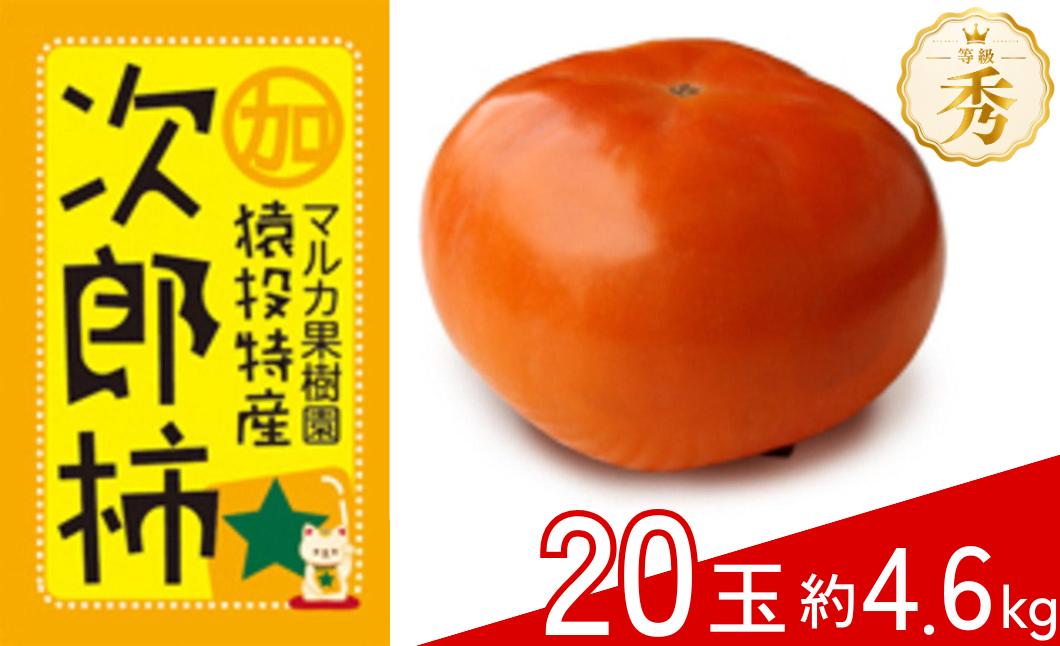 
                  ＜先行受付＞次郎柿 約4.6kg(20玉)【2026年10月下旬以降順次発送】| 柿 果物 フルーツ 先行予約 次郎柿 マルカ果樹園 愛知県 豊田市
                