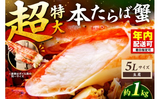 【年内配送】【1肩約1kgの極太5Lサイズ】一番人気！ 本たらば蟹 生肩 約1kg 目視選別【087C-070】